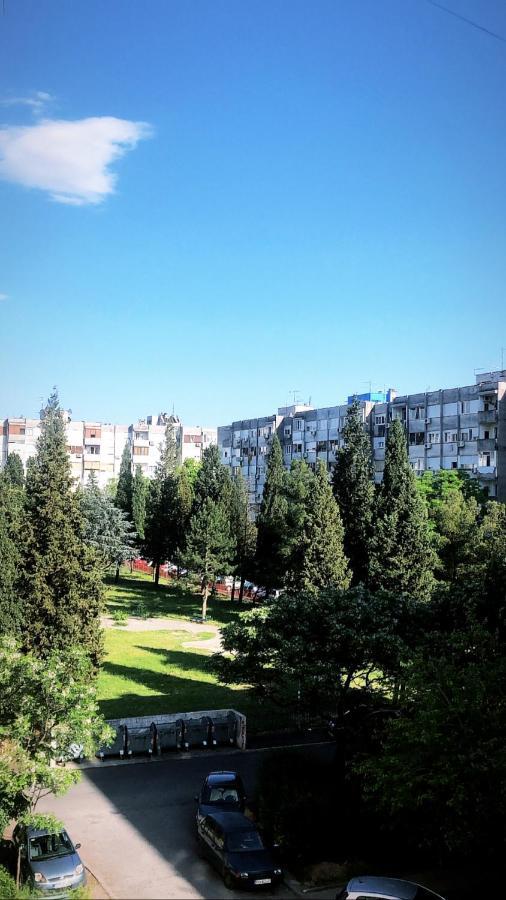 Top-Top Podgoriţa Exterior foto